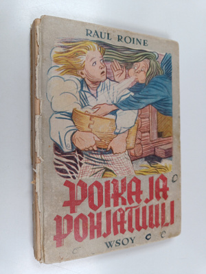 Raul Roine : Poika ja pohjatuuli