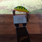 Salmo Hornet Floating H3F 3,5cm GT - pikkukuva 2