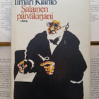 Ilmari Kianto - Salainen päiväkirjani (sid.) - pikkukuva 1