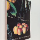 John Lanchester : The debt to pleasure - a novel - pikkukuva 1