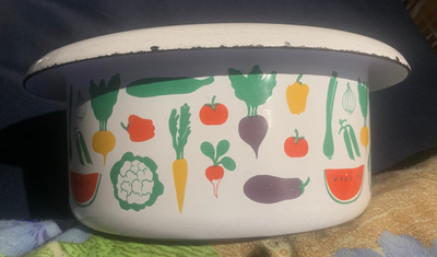 Finell Vegetaria kattila kannella