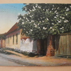 Hevoskastanjat kukkivat kylän raitilla, väripk, p. 1913 - pikkukuva 1