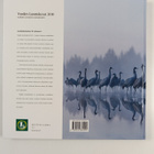 Vuoden luontokuvat 2010 : Suomen luonnon vuodenkierto - pikkukuva 2