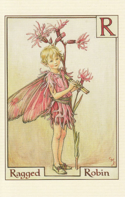 Cicely Mary Barker: Niittykäen keiju, kirjain R