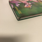 Mehiläishoitoa käytännössä osa 1 - pikkukuva 4
