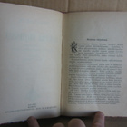 Maurice Leblanc: Kuolema väijyksissä, Suomi 1921. 96 s. - pikkukuva 4