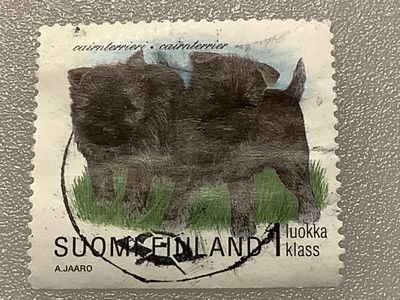 1438/ 1998 Koiranpentuja 7/8 o leimattu loisto