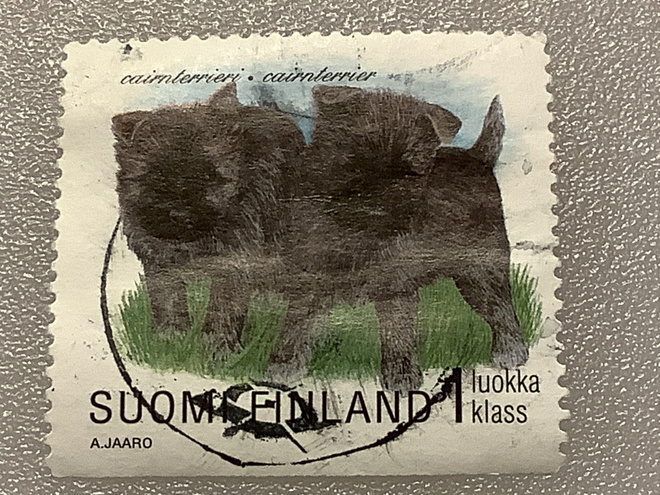 1438/ 1998 Koiranpentuja 7/8 o leimattu loisto