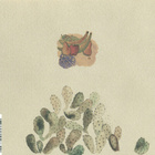 Devendra Banhart Devendra Banhart – Smokey Rolls Down Thunde - pikkukuva 2