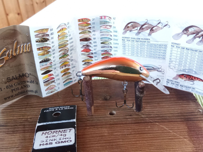 Salmo  Hornet Sinking H4S  4cm GMO