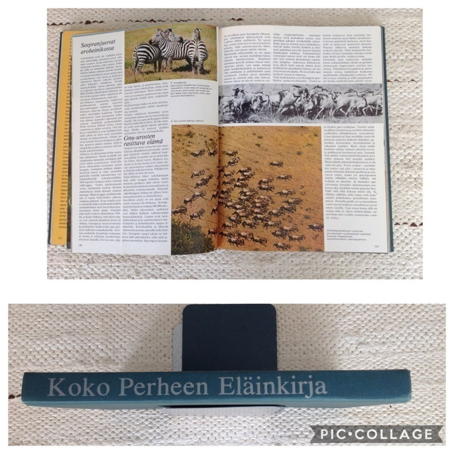 Gunter Steinbach : koko perheen Eläinkirja ( 1977 )