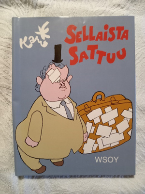 Kari Sellaista sattuu
