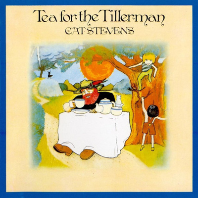 Cat Stevens - Tea For The Tillerman (CD) VG+!!