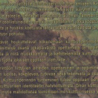 Aikapolku, tehtävänä kulttuuriperintö - pikkukuva 3