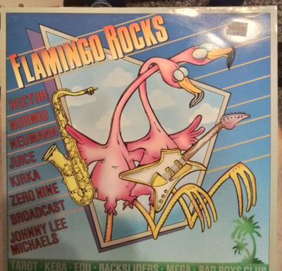 LP Flamingo  rocks