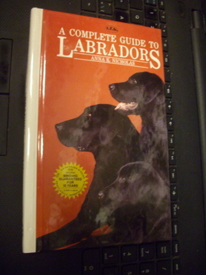 Nicholas: A Complete Guide to LABRADORS ( Sis.postikulut )