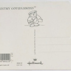 KULKEMATON SIILIT JA KUKKARUUKKU-COUNTRY COMPANIONS - pikkukuva 2
