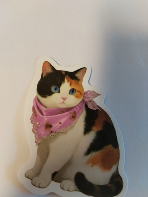 Kissa tarra.