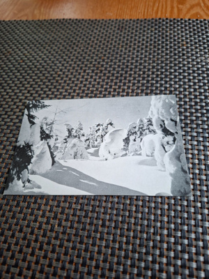 10Z Sotkamo Vuokatti