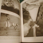 Eero Laitinen PUUTYÖN ILO ( 1 p. 2001 ) Sis.pk:t - pikkukuva 3