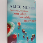 Alice Munro : Hateship, friendship, courtship, loveship, ... - pikkukuva 1