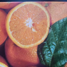 Hellas Marmeladia - pikkukuva 2