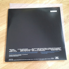 Alec Empire – The Golden Foretaste Of Heaven 2LP - pikkukuva 2