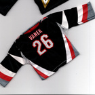 Thomas Vanek Buffalo 06-07 Upper Deck Mini Jersey - pikkukuva 2