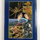 Heather Angel : Family water naturalist - pikkukuva 2