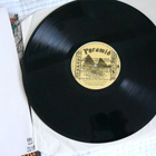 Leevi And The Leavings–Turkmenialainen Tyttöystävä LP - RARE - pikkukuva 5