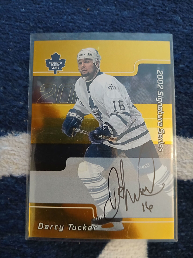 Darcy Tucker - nimmarikortti / Toronto