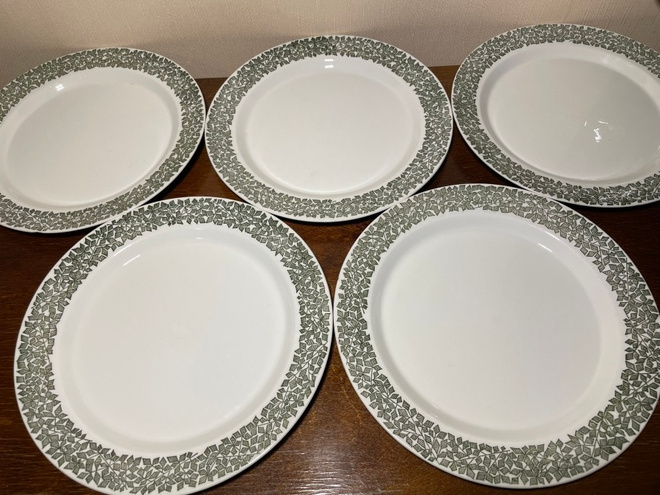 Arabia TAPIO lautaset 23,5 cm 5 kpl