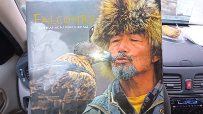 Javier Ceballos : FALCONRY ( SIS POSTIKULU )