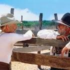 VAAROJEN MAA - LONESOME DOVE (minisarja) - 2 DVD - pikkukuva 4