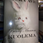 Nick Cave :  Bunny Munron kuolema ( SIS POSTIKULU) - pikkukuva 1