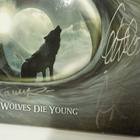 SONATA ARCTICA THE WOLVES DIE... CDS NIMMARIT koko bändiltä - pikkukuva 2