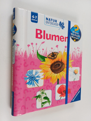 Susanne Gernhäuser : Blumen