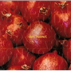 DON HUONOT DON HUONOT - pikkukuva 1