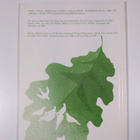Pekka Tarkka : Lahti 1963-1979 : Kansainvälinen kirjailij... - pikkukuva 2
