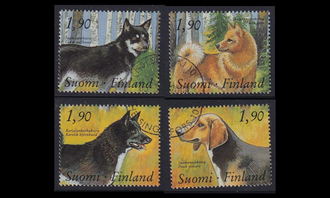 1075-8 o Kenneltoiminta (1989)