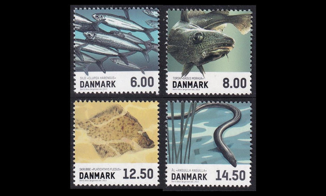 Tanska 1729-32 ** Ruokakaloja (2013)
