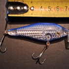 Kuusamo variant shad! - pikkukuva 2