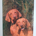 Pal Sarkany ym. : Dogs of Hungary - pikkukuva 2