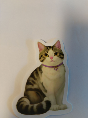 Kissa tarra.