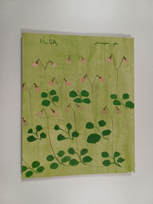 Maija Paavilainen : Iloa