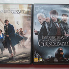 FANTASTIC BEASTS &   IHMEOTUKSET  DVD - pikkukuva 1