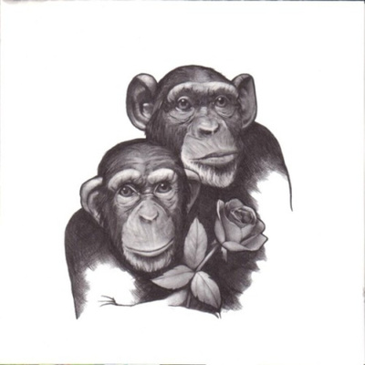 ** THE CRASH : Pony Ride ** CD
