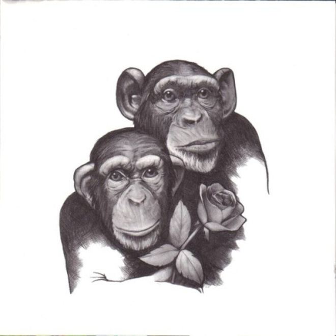 ** THE CRASH : Pony Ride ** CD