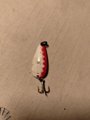 pieni lippa