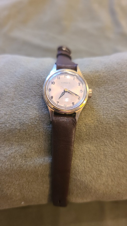 Citizen Para Water 17 Jewels Toimii
